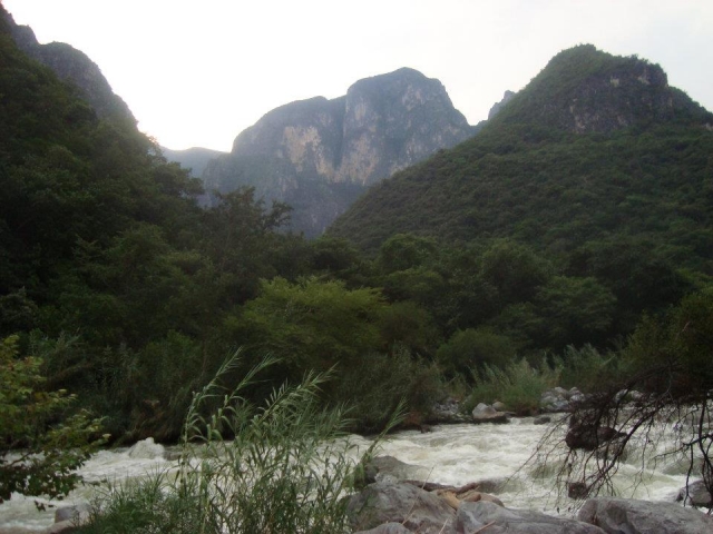 Naturalezay vida